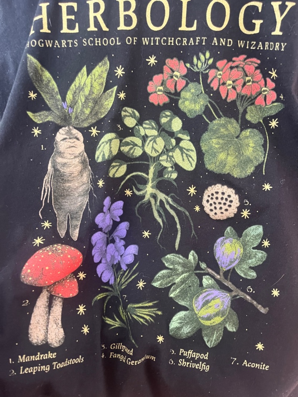 Harry Potter Herbolology Short Sleeve Tee - Black - Picture 4 of 4